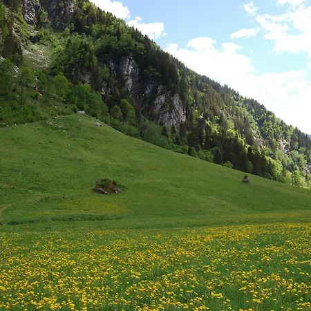 Haus Leo Monika * Hausling